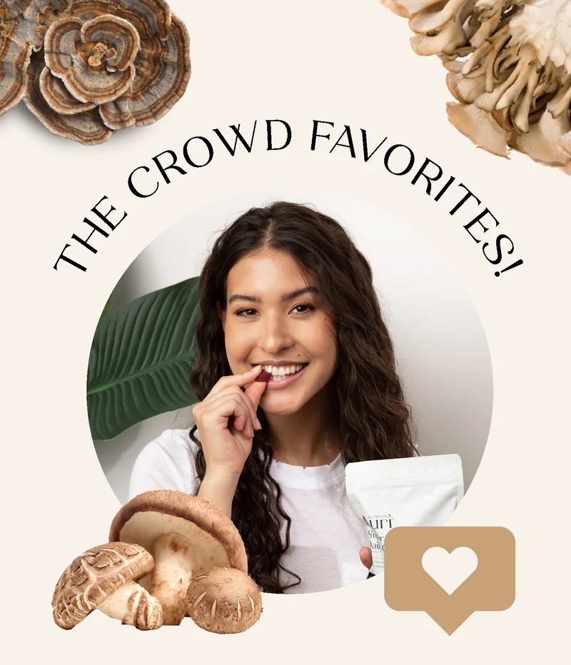 The Crowd Favourites