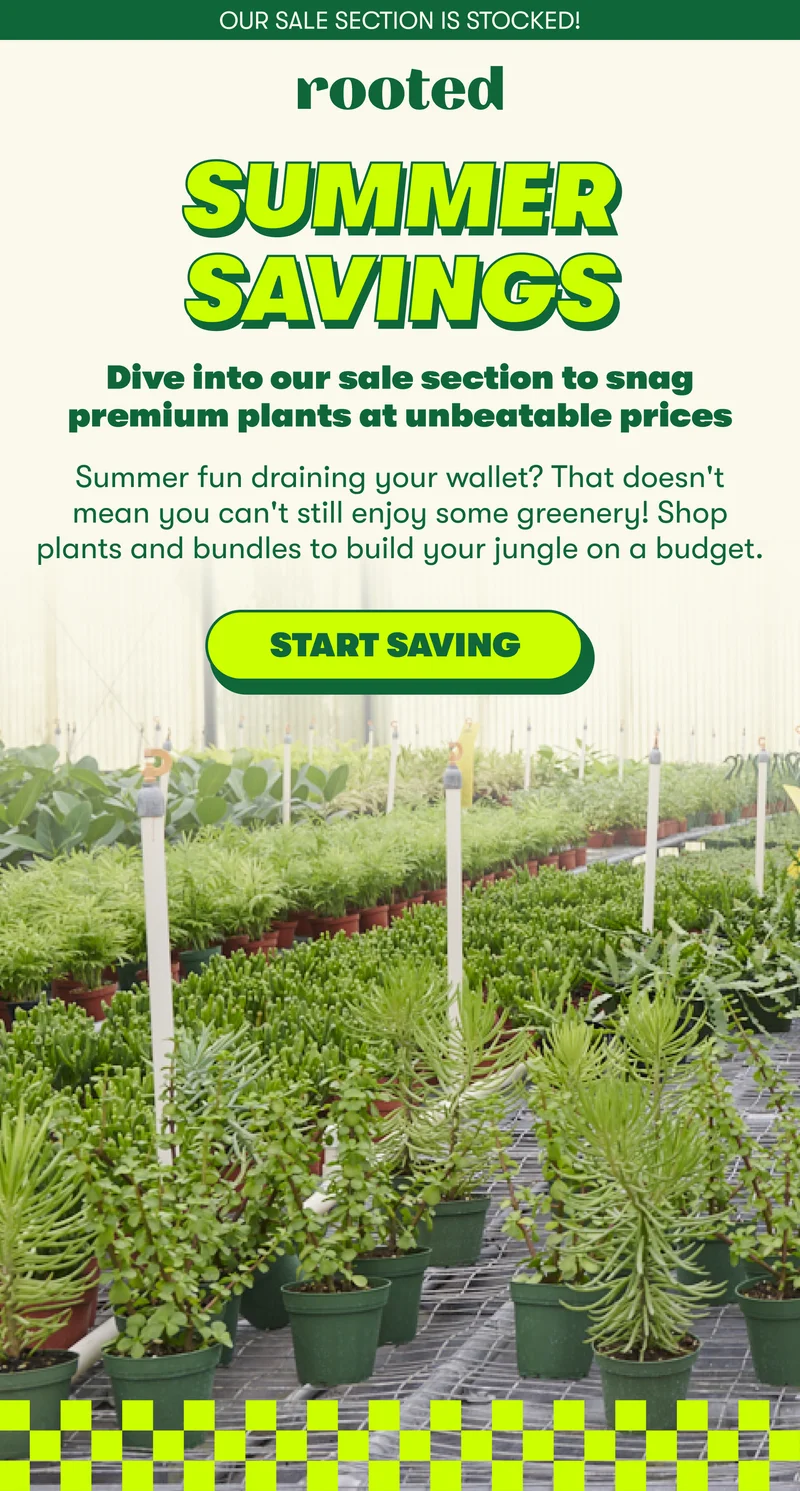 OUR SALE SECTION IS STOCKED! SUMMER SAVINGS Dive into our sale section to snag premium plants at unbeatable prices  Summer fun draining your wallet? That doesn't mean you can't still enjoy some greenery! Shop plants and bundles to build your jungle on a budget. [START SAVING]