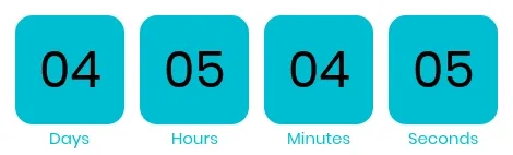 Timer from emailcountdowntimer.com