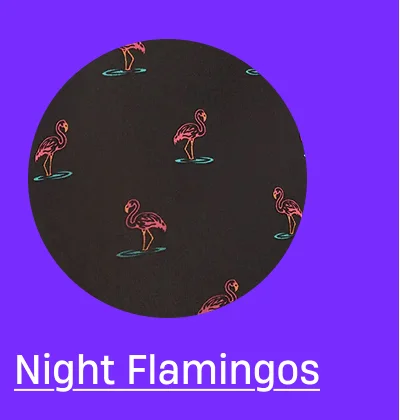 Night Flamingos