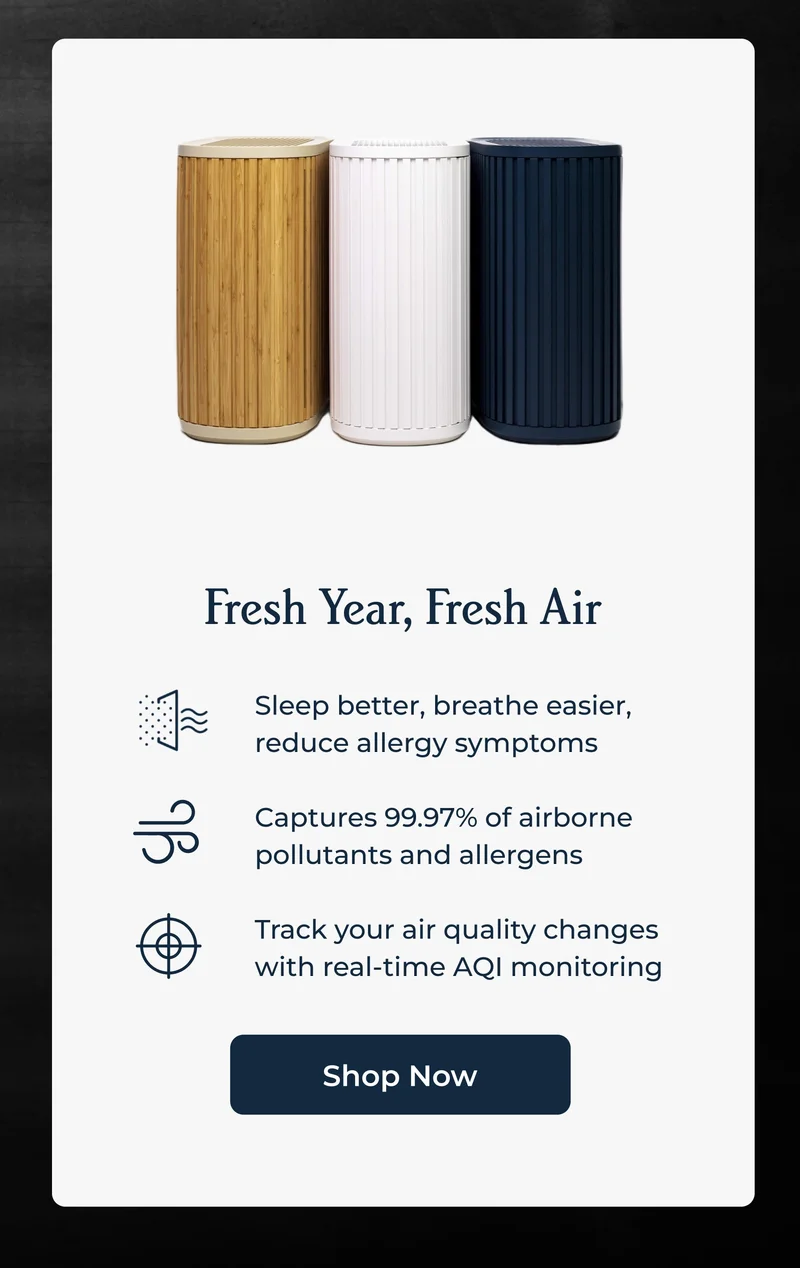 Fresh Year, Fresh Air