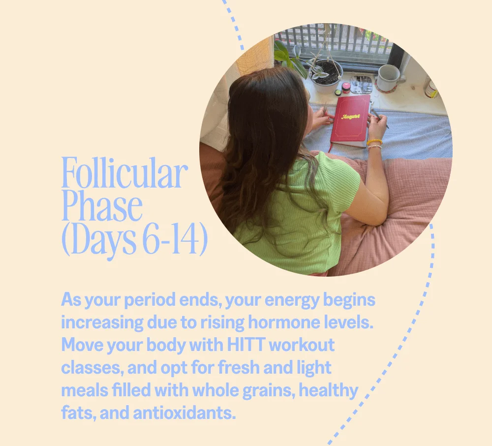 Follicular Phase (Days 6-14)
