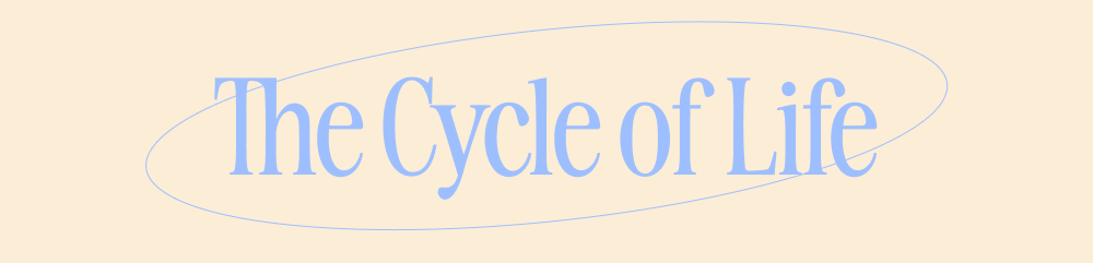 The Cycle of Life