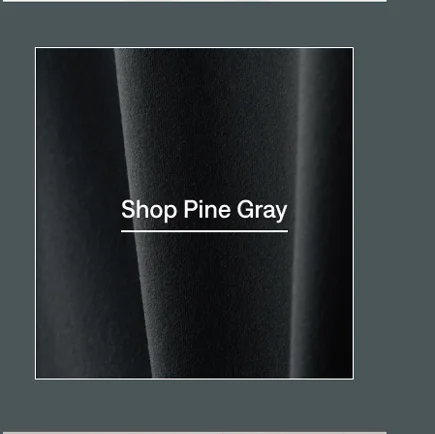 Shop Pine Gray