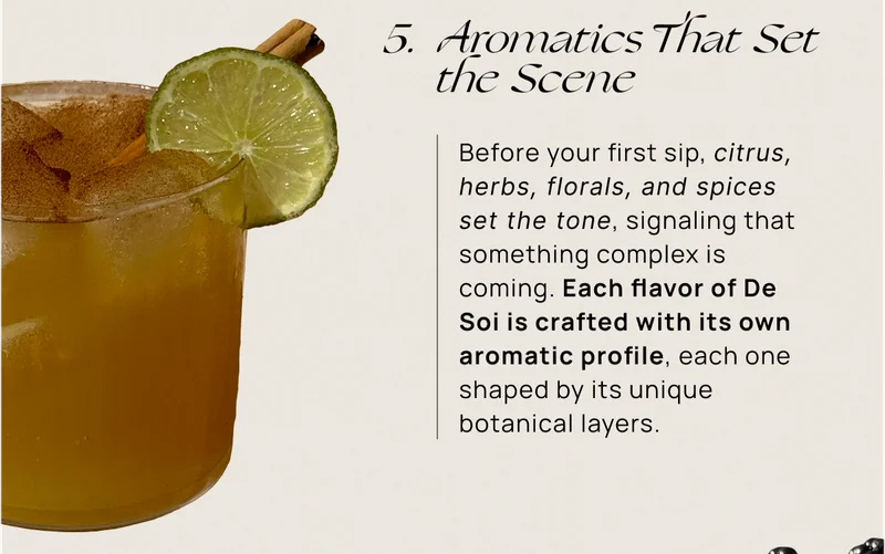 Aromatics That Set the Scene | Before your first sip, citrus, herbs, florals, and spices set the tone, signaling that something complex is coming. Each flavor of De Soi is crafted with its own aromatic profile, each one shaped by its unique botanical layers.