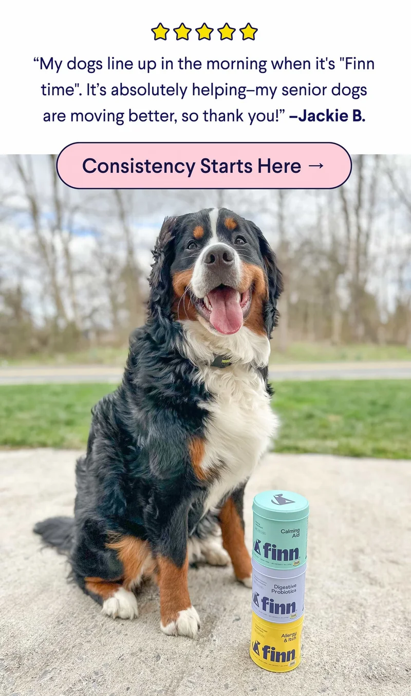 5 Star Customer Review: “My dogs line up in the morning when it's "Finn time". It’s absolutely helping–my senior dogs are moving better, so thank you!” –Jackie B. CTA: Consistency Starts Here →