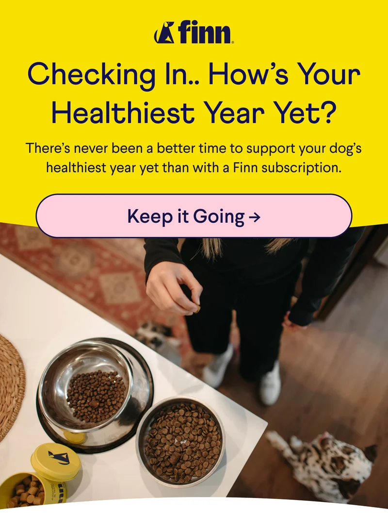 Finn logo. Text: Checking in.. how’s your healthiest year yet? There’s never been a better time to support your dog’s healthiest year yet than with a Finn subscription. CTA: Keep it Going ->