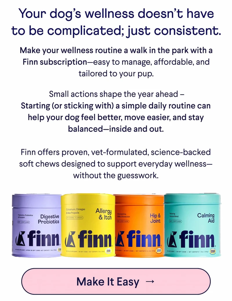 Text: Your dog’s wellness doesn’t have to be complicated; just consistent. Make your wellness routine a walk in the park with a Finn subscription—easy to manage, affordable, and tailored to your pup. &nbsp;Small actions shape the year ahead – Starting (or sticking with) a simple daily routine can help your dog feel better, move easier, and stay balanced—inside and out.  Finn offers proven, vet-formulated, science-backed soft chews designed to support everyday wellness—without the guesswork.  CTA: Make It Easy&nbsp; →