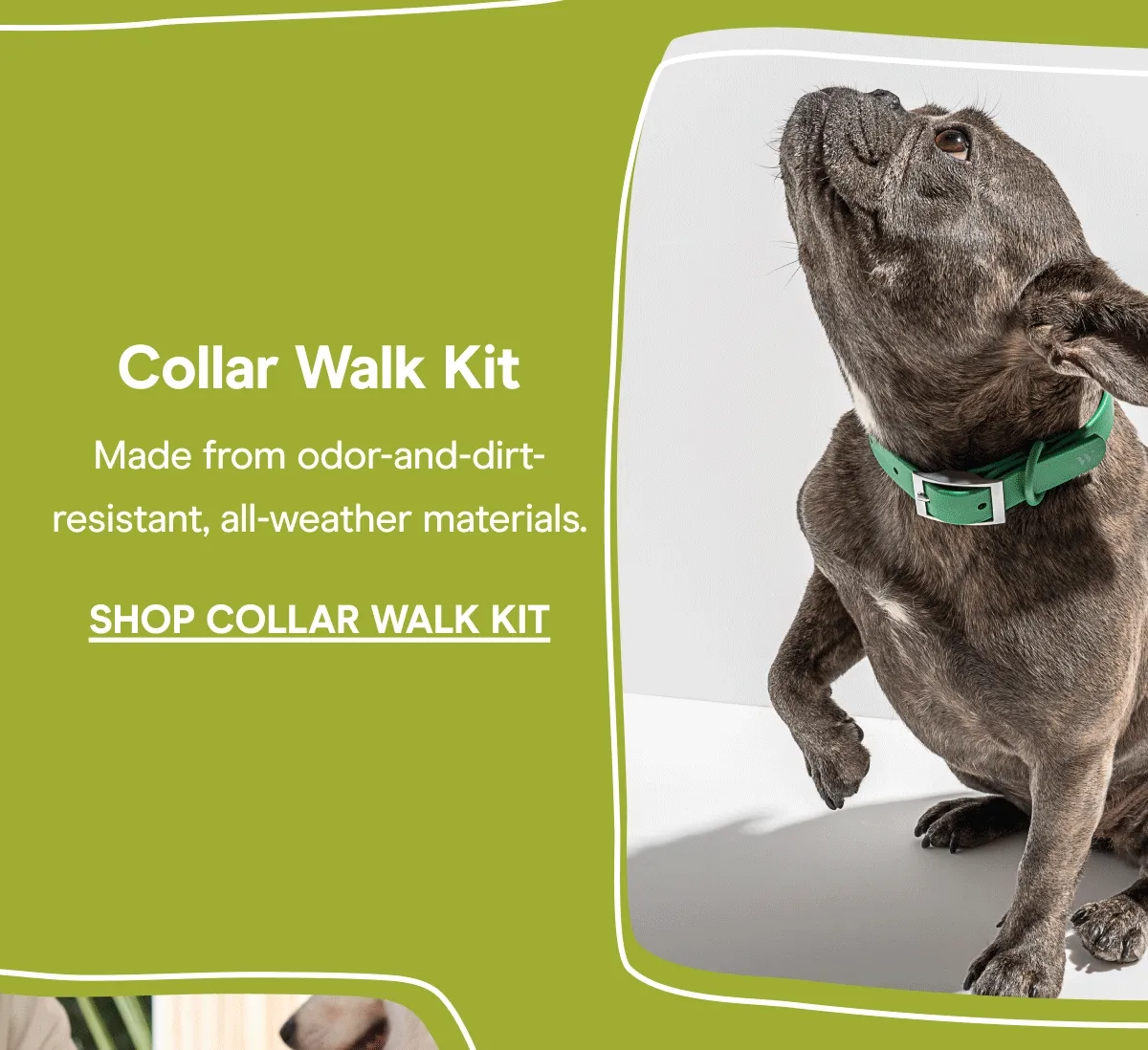Collar Walk kit