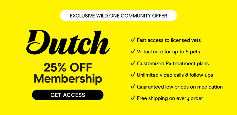 Dutch Membership
