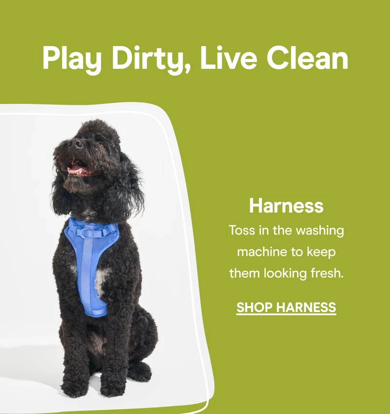 shop harness