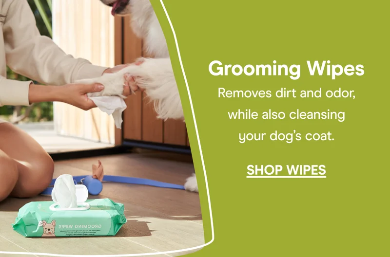 Shop Wipes