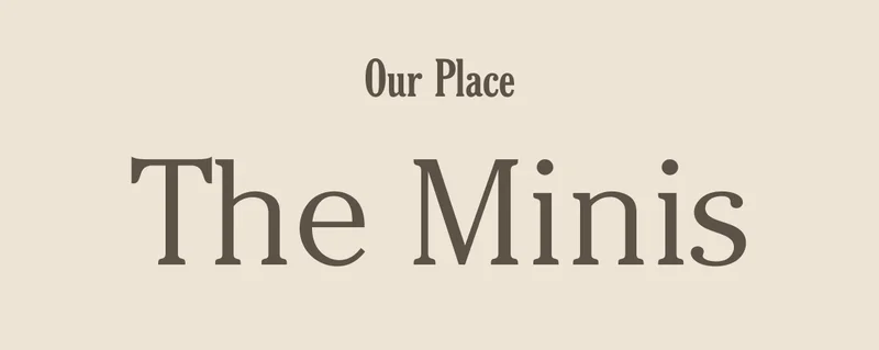 Our Place - The Minis
