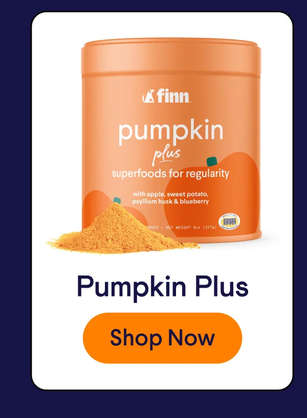 Pumpkin Plus superfoods meal topper powder for regularity | Shop Now –>