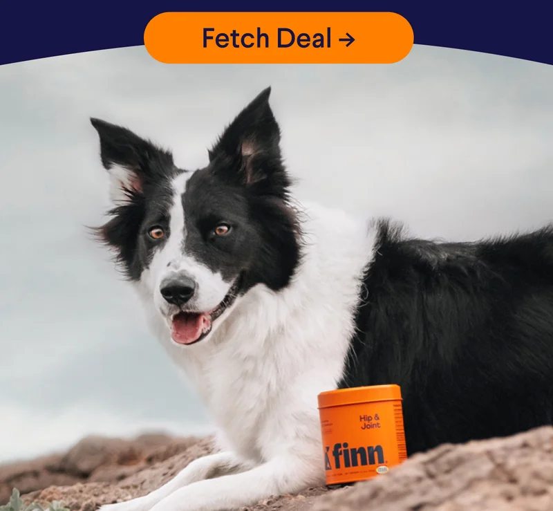 Fetch Deal: 20% Off EVERYTHING –>