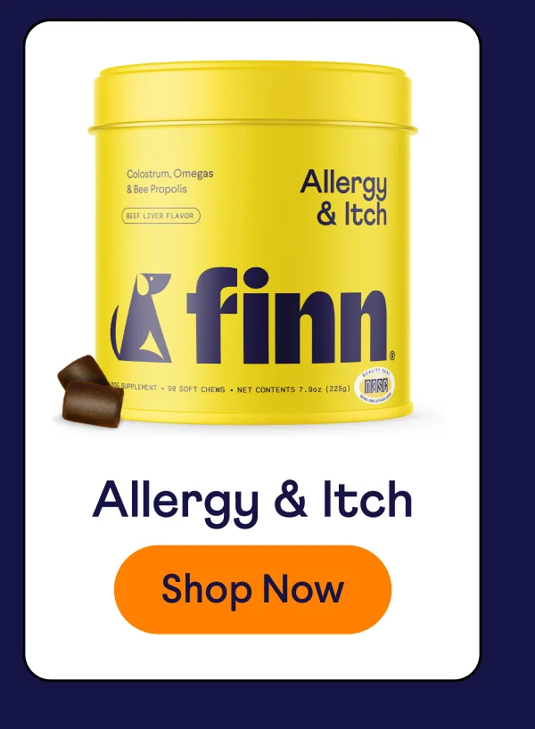 Allergy & Itch soft chew supplement | Shop Now –>