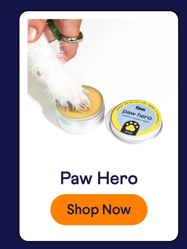 Paw Hero natural protective paw balm | Shop Now –>