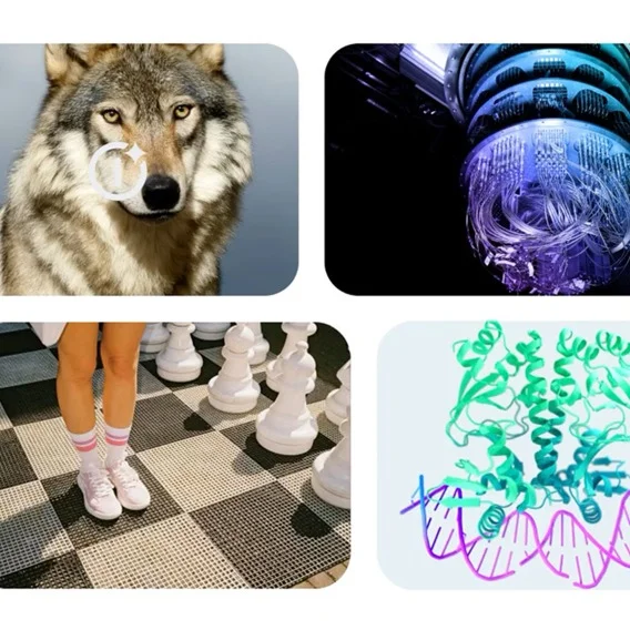 Four images in a square: The first is a wolf, the second some kind of electronic machinery, then a person’s legs on a lifesize chess board; then an illustration of decorative DNA strands.