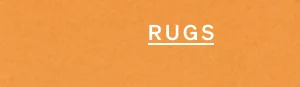 Shop Rugs