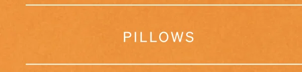 Shop Pillows