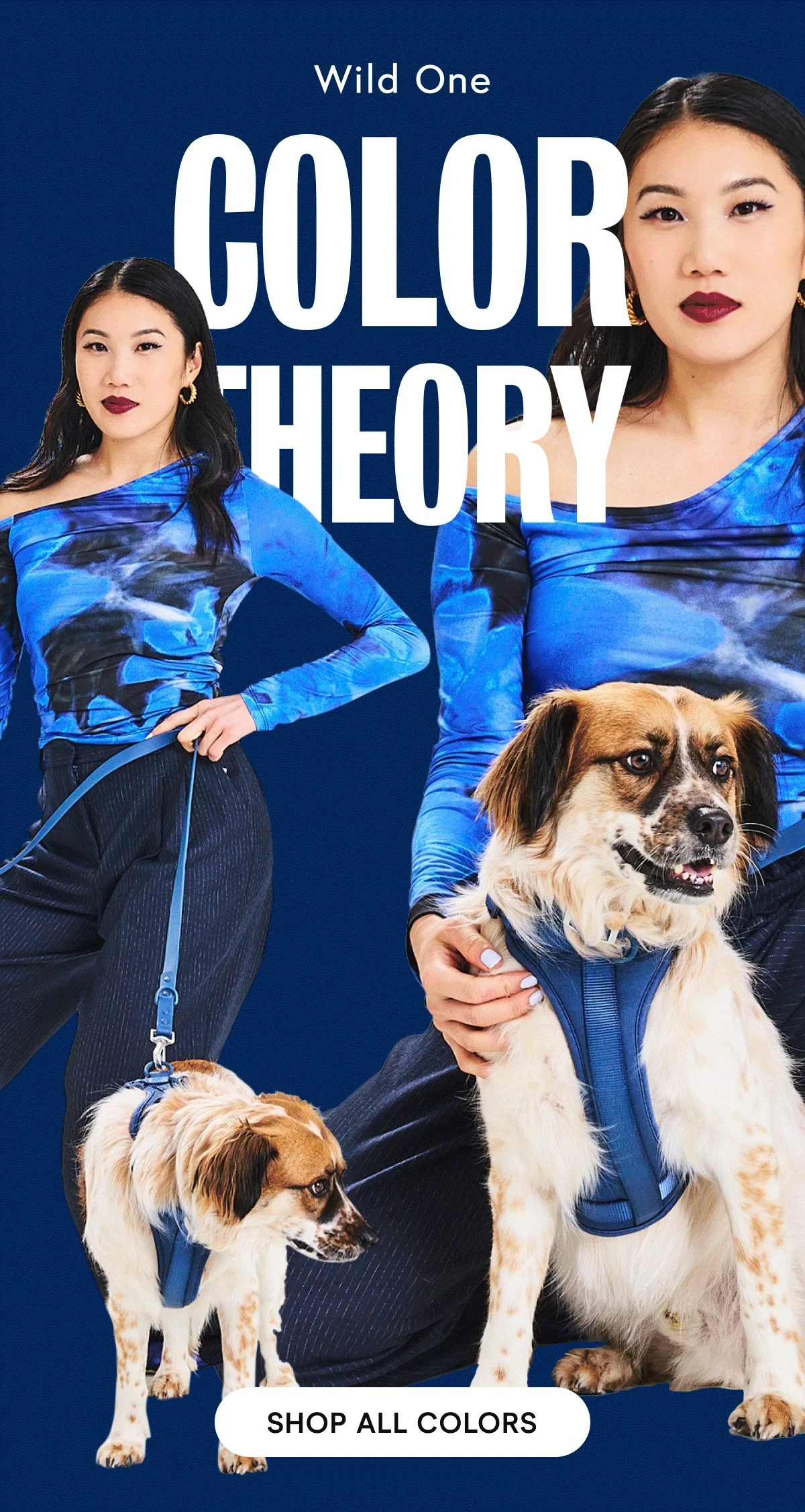 Color Theory