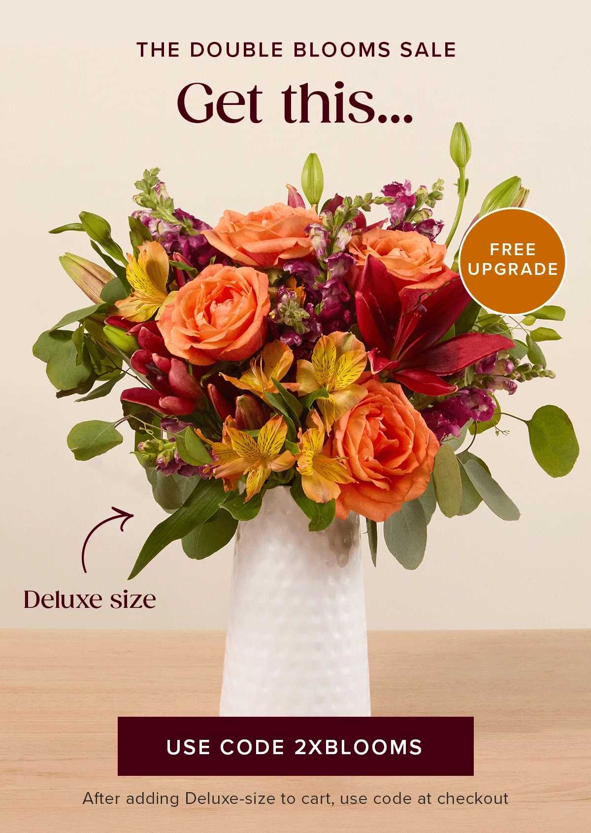 The Double Blooms Sale: Free Upgrade! Get a deluxe size Bouq for the same price as...an original size. Must add a Deluxe-size to cart and use code 2XBLOOMS at checkout The Double Blooms Sale: Free Upgrade! Get a deluxe size Bouq for the same price as...an original size. Must add a Deluxe-size to cart and use code 2XBLOOMS at checkout