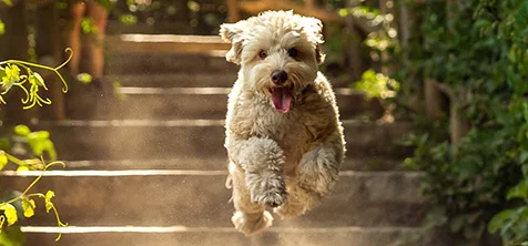 Experience all the best from the Sony Alpha Universe