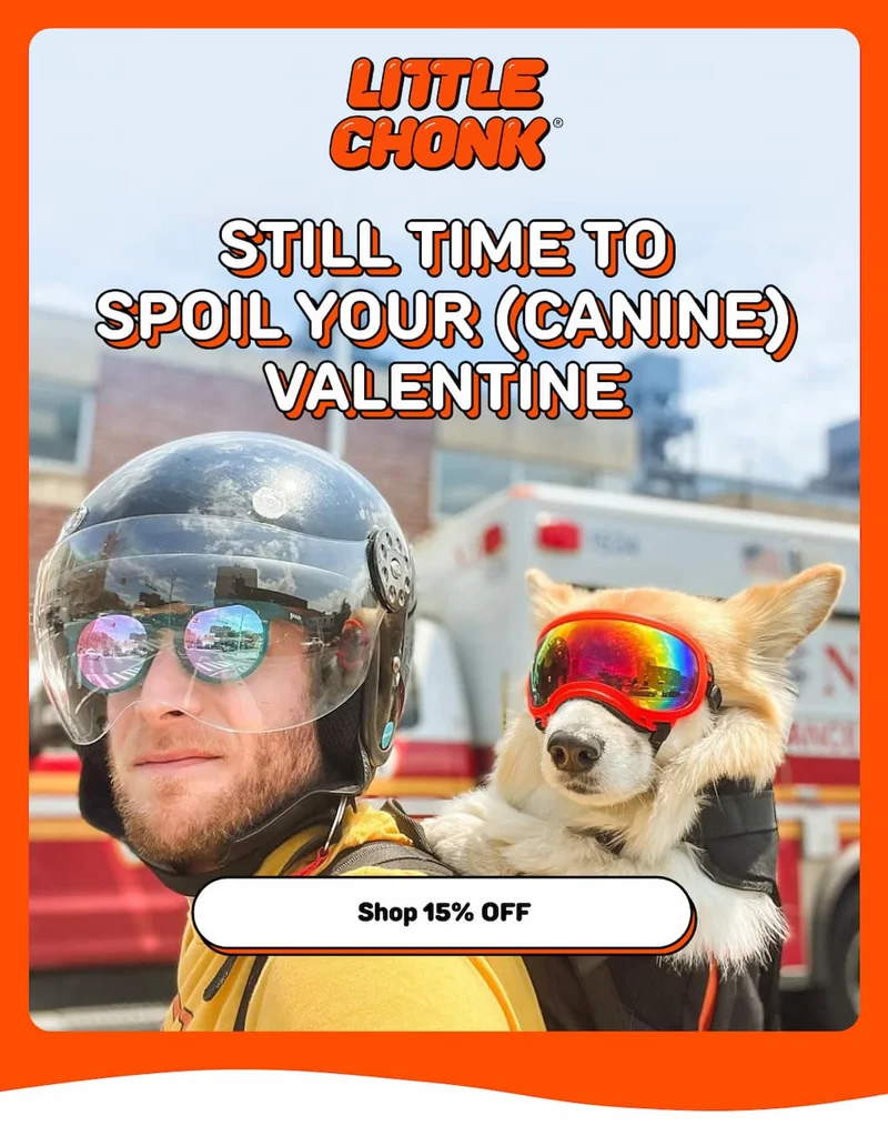 STILL TIME TO SPOIL YOUR (CANINE) VALENTINE