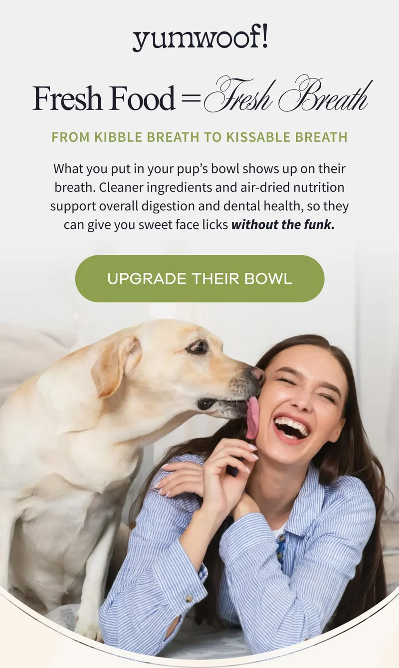 yumwoof! | Fresh Food = Fresh Breath | From Kibble Breath to Kissable Breath | What you put in your pup’s bowl shows up on their breath. Cleaner ingredients and air-dried nutrition support overall digestion and dental health, so they can give you sweet face licks without the funk. | UPGRADE THEIR BOWL
