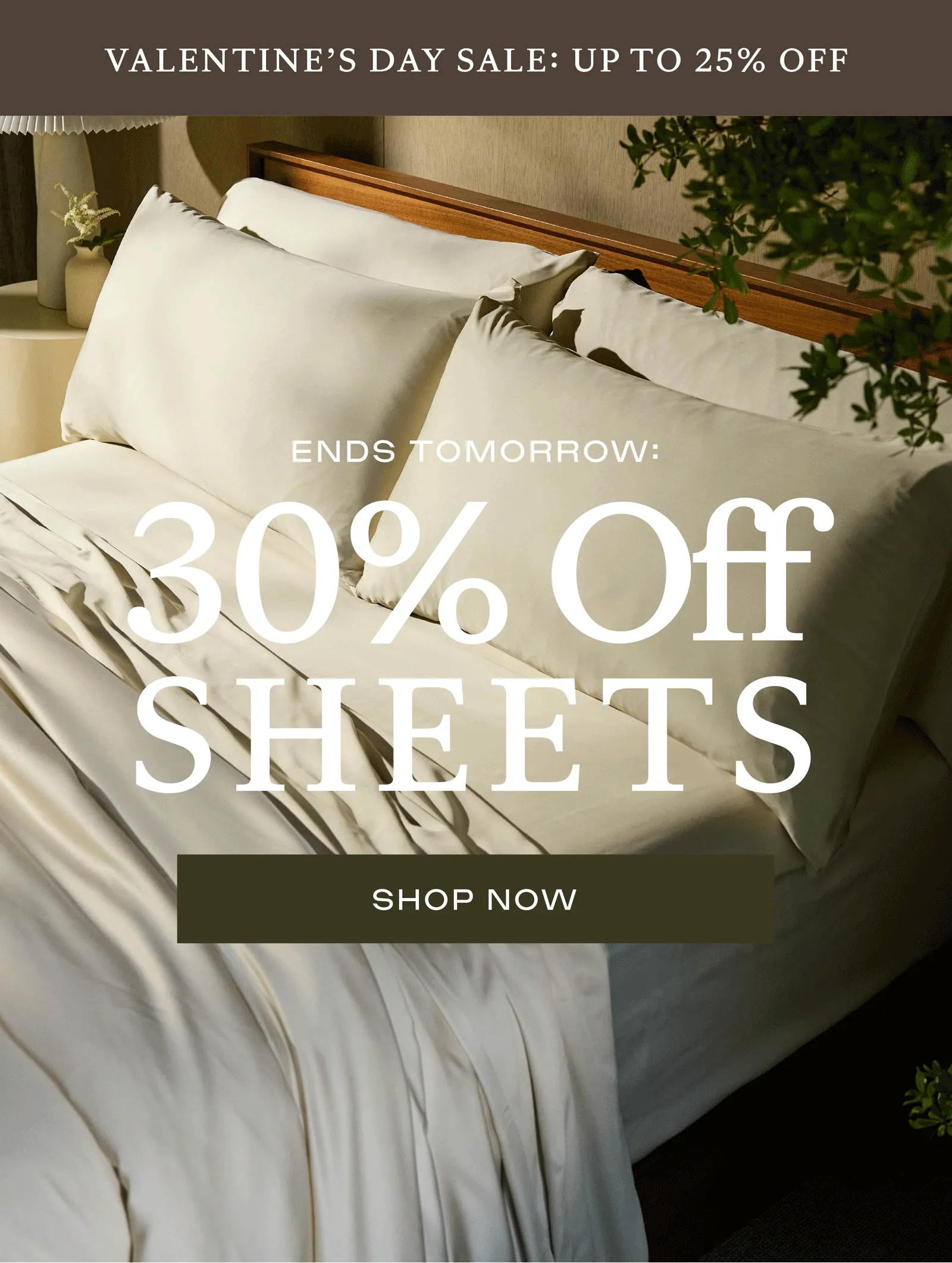 30% Off Sheets Ends Tomorrow 30% Off Sheets Ends Tomorrow