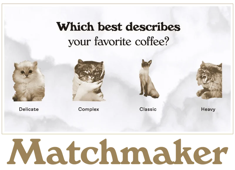 Discover your match with the Stumptown Coffee Quiz