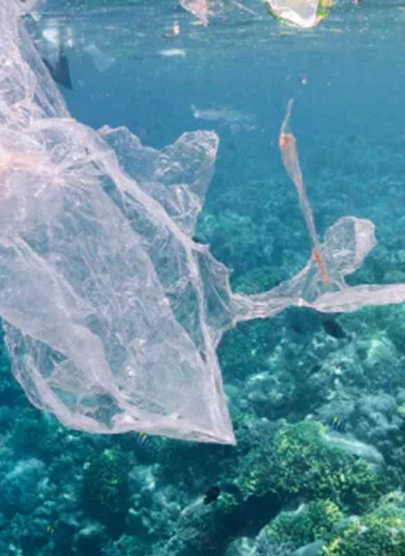Learn more about our partnership with 4Oceans.
