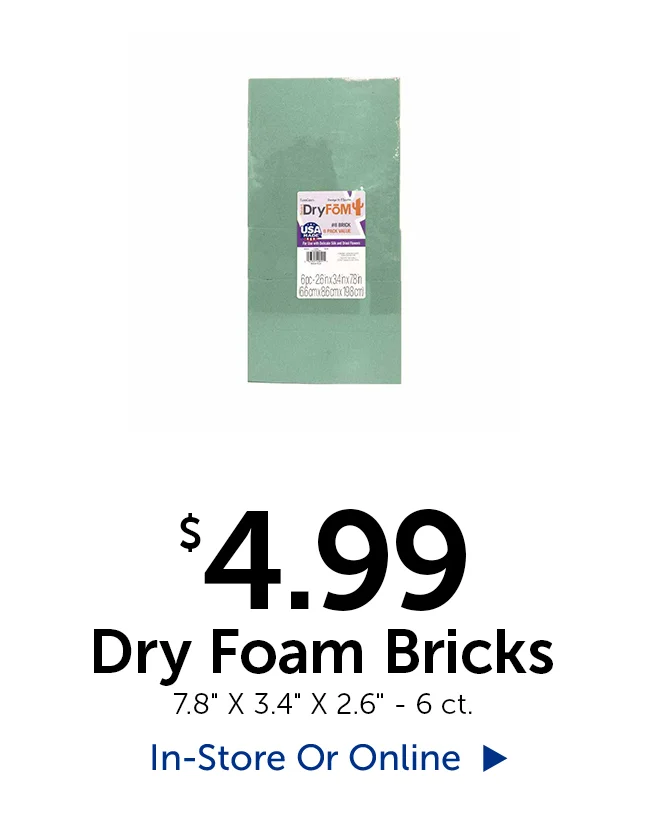 $4.99 Dry Foam Bricks - 6 ct.