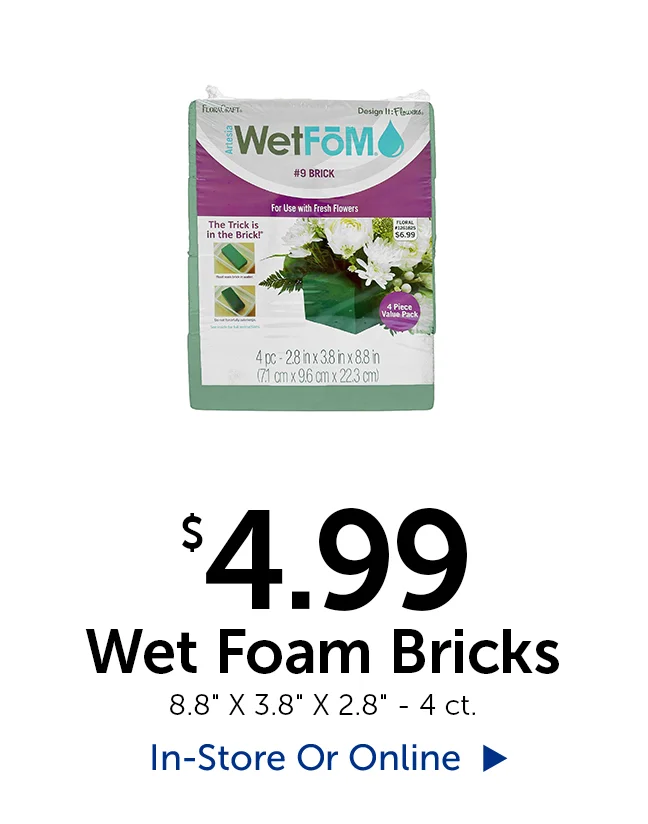 $4.99 Wet Foam Bricks - 4 ct.
