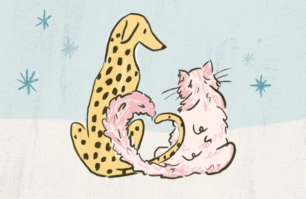 Cat illustration