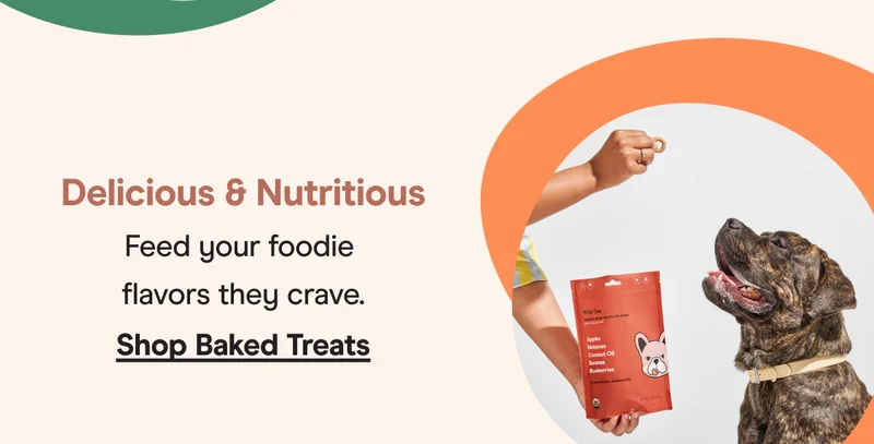 baked treat kit