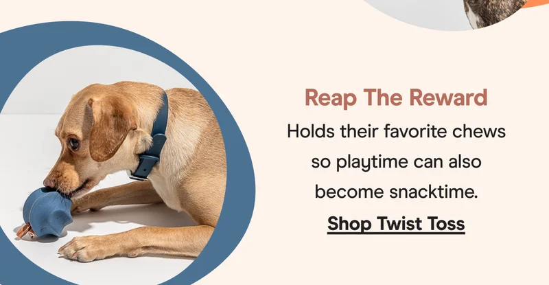 twist toss