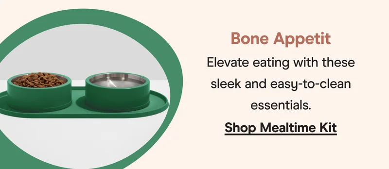 Mealtime Kit