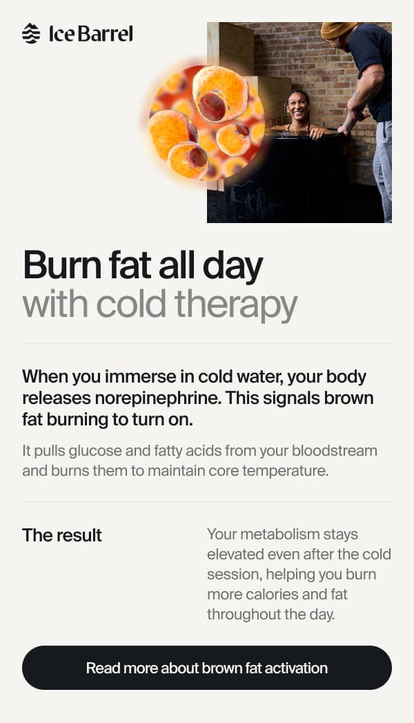 Burn Fat all day!
