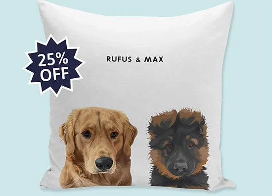 Pet Pillow