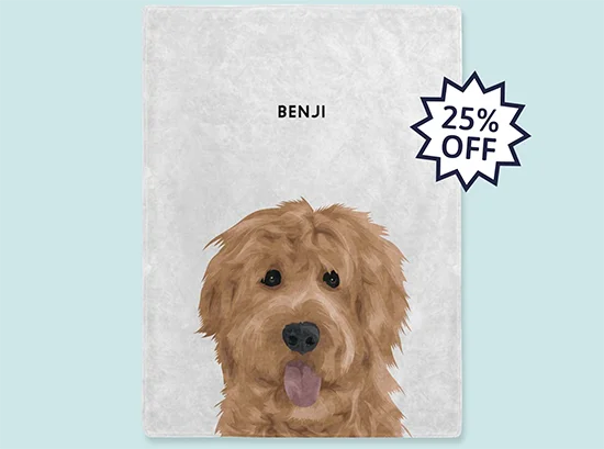 Pet Blanket