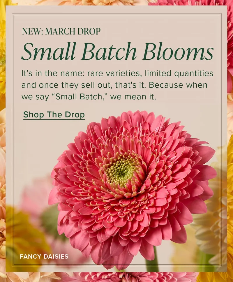 New March Drop: Small Batch Blooms. It’s in the name: rare varieties, limited quantities and once they sell out, that's it. Because when we say “Small Batch,” we mean it. Shop The Drop