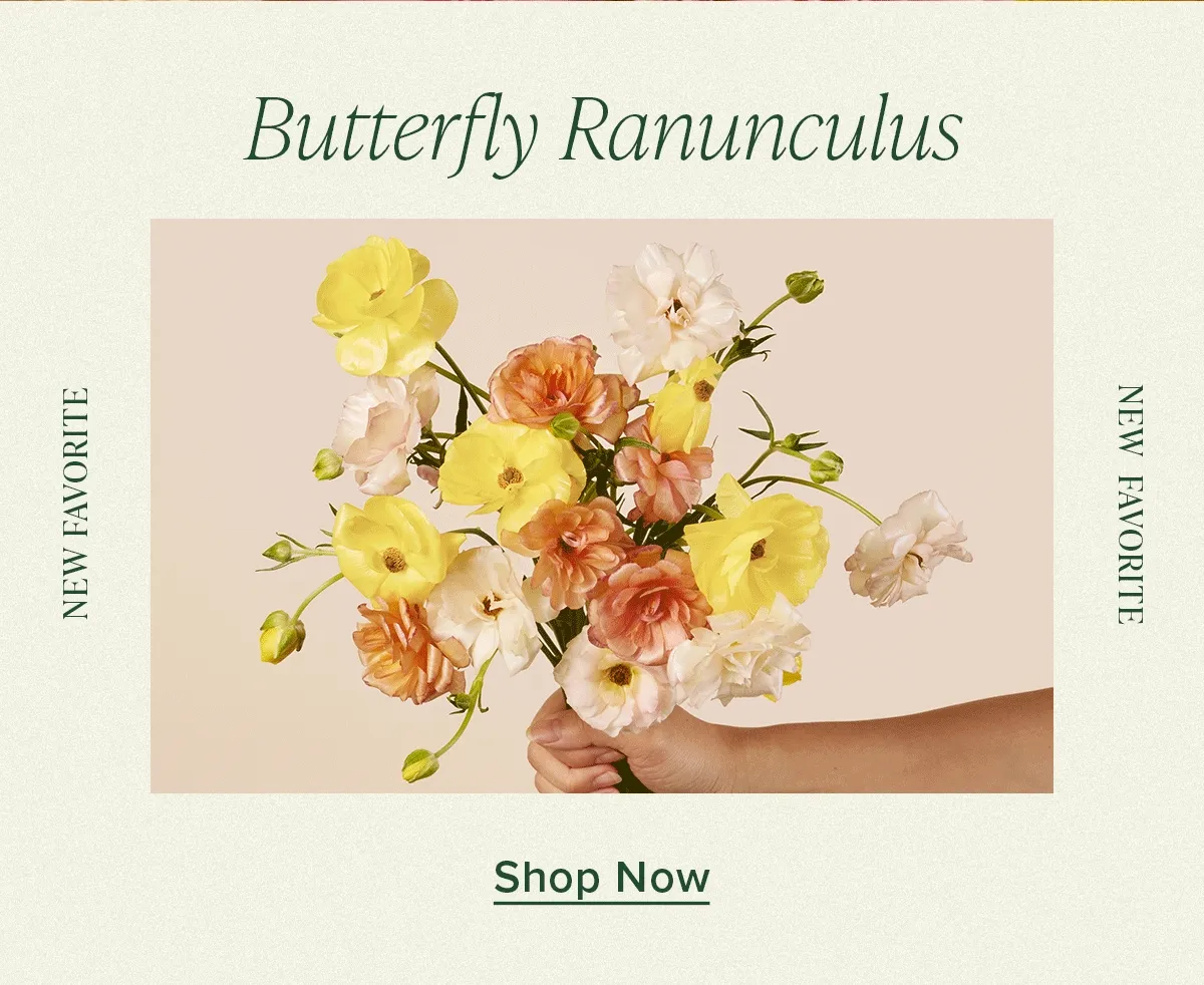 Shop the New Favorite: Butterfly Ranunculus