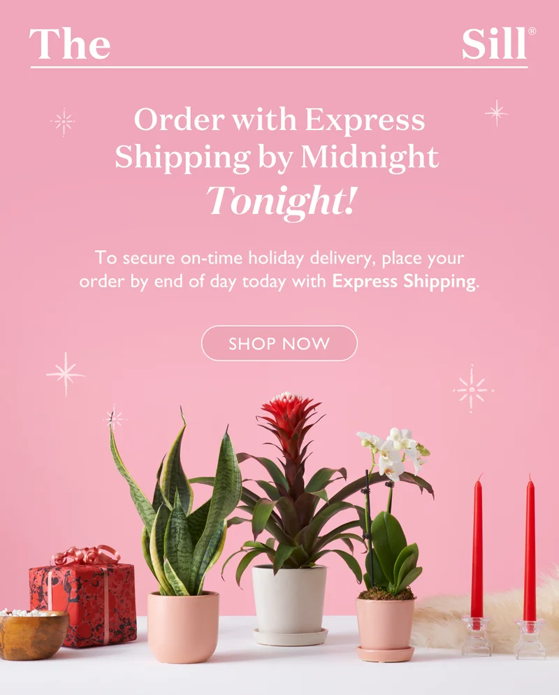 To secure on-time holiday delivery, place your order by end of day today with Express Shipping. Shop now!