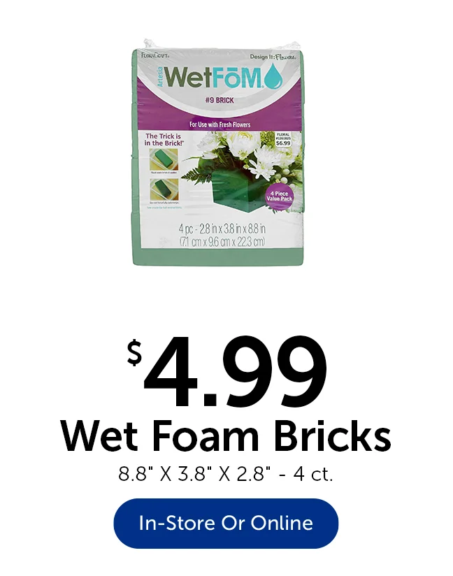 $4.99 Wet Foam Bricks - 4 ct.