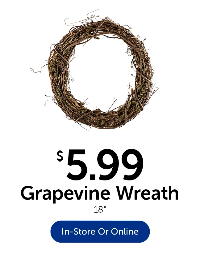 $4.99 Grapevine Wreath - 18 in.