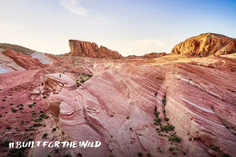 Built For The Wild