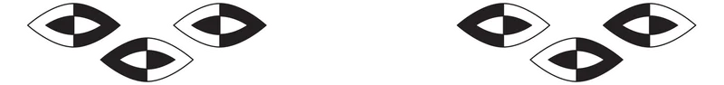 Mystique eye border