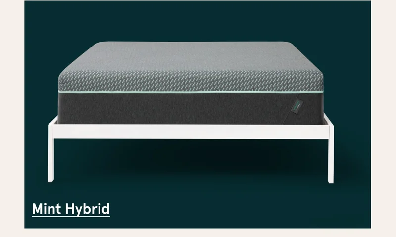 Mint Hybrid