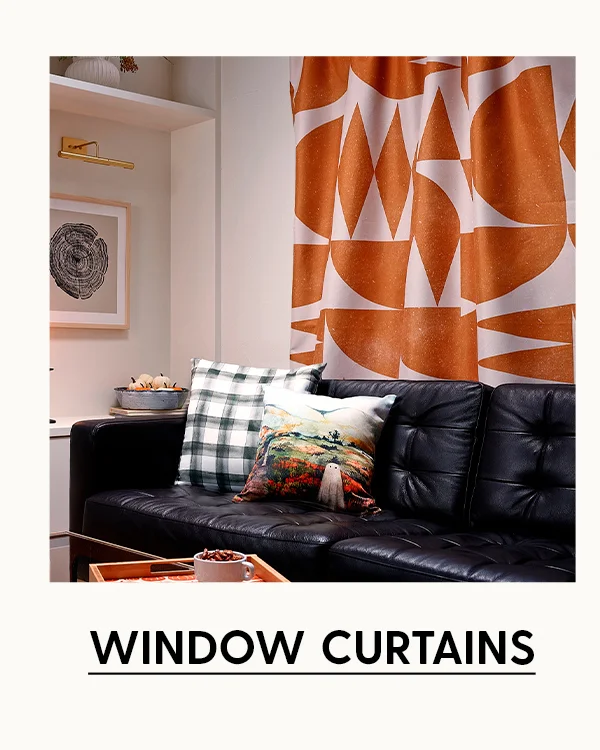 Shop Window Curtains